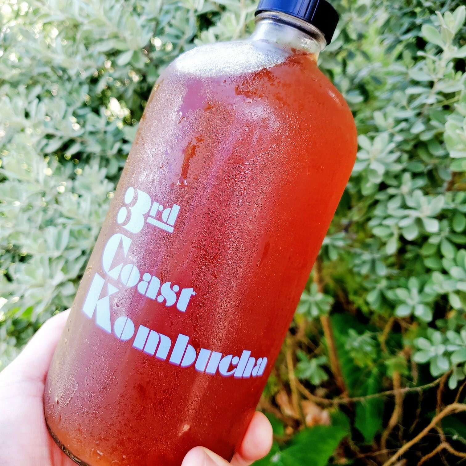 3rd Coast Kombucha
