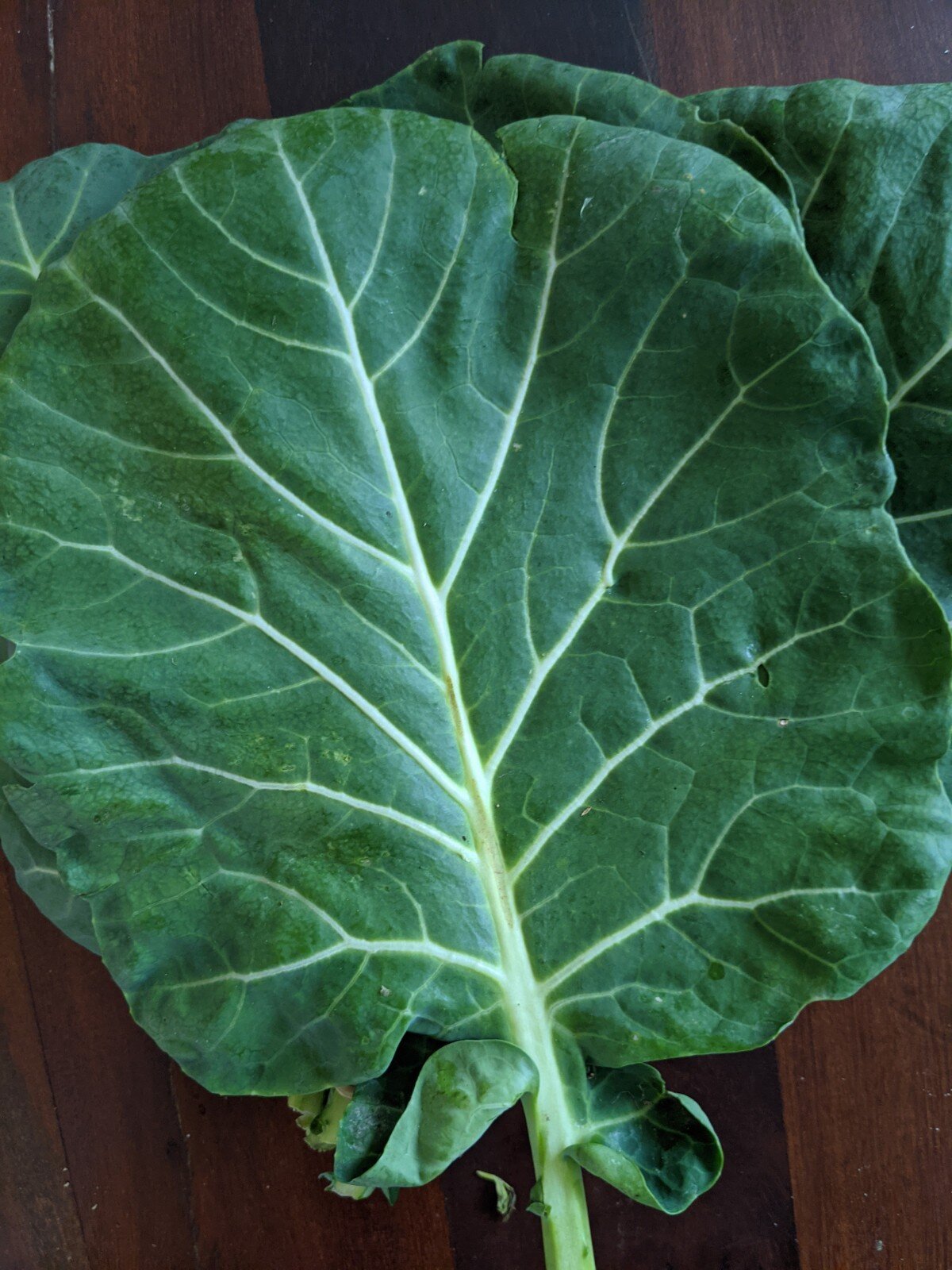 Sukuma Wiki (Kenyan Braised Collard Greens and Ground Beef)