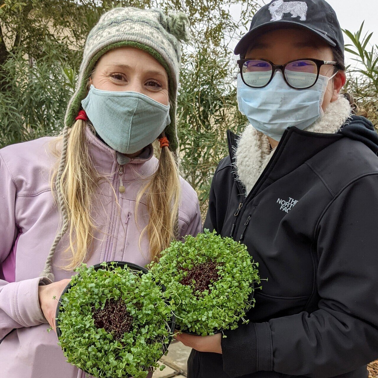 What’s at Market & GOFM To-Go: 3/7/2021