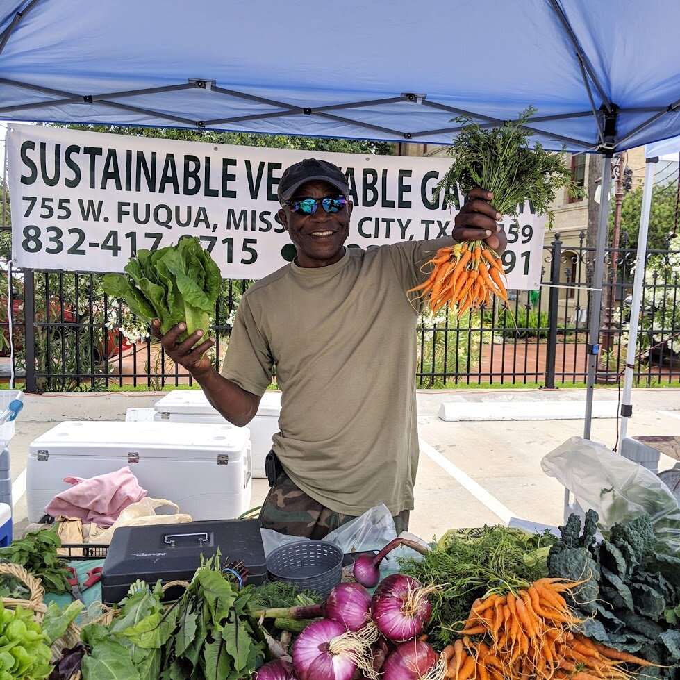 Sustainable Vegetable Garden