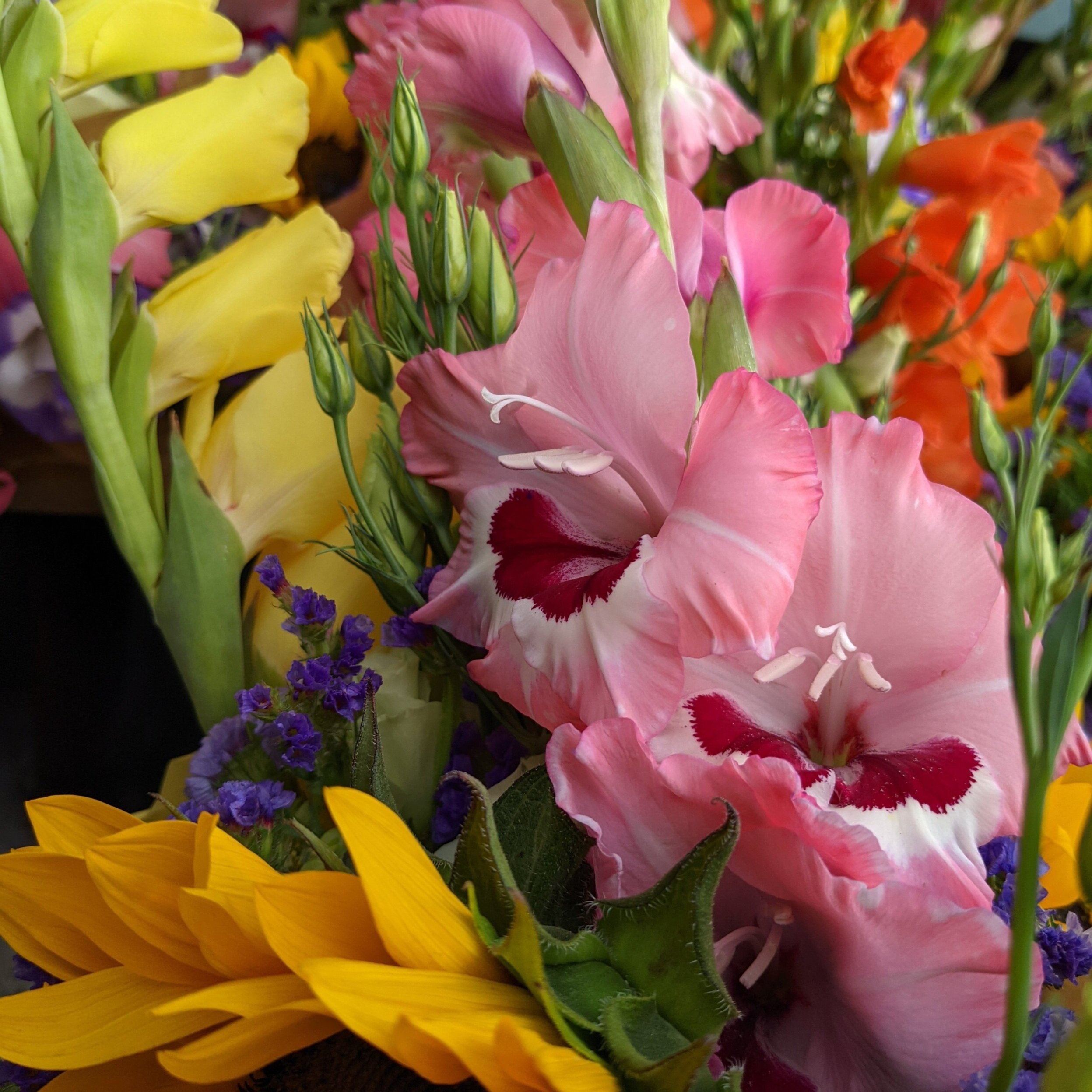 What’s at Market & GOFM To-Go: 5/23/21