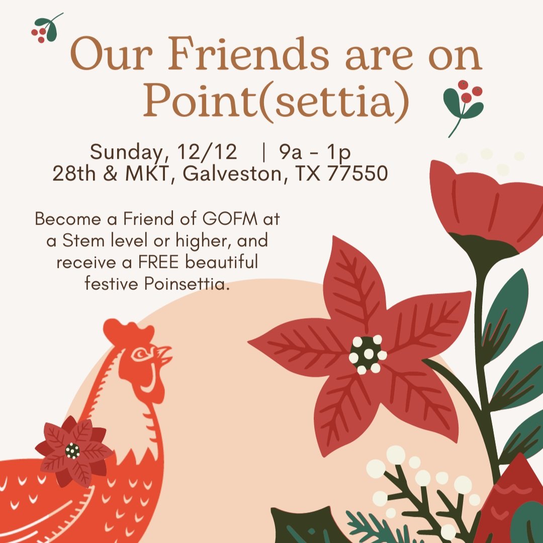 12/12 – Our Friends are on Point(settia)