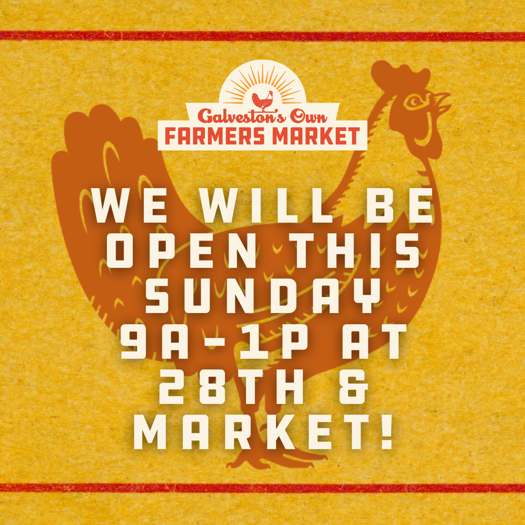 What’s at Market & GOFM To-Go: 11/7/21