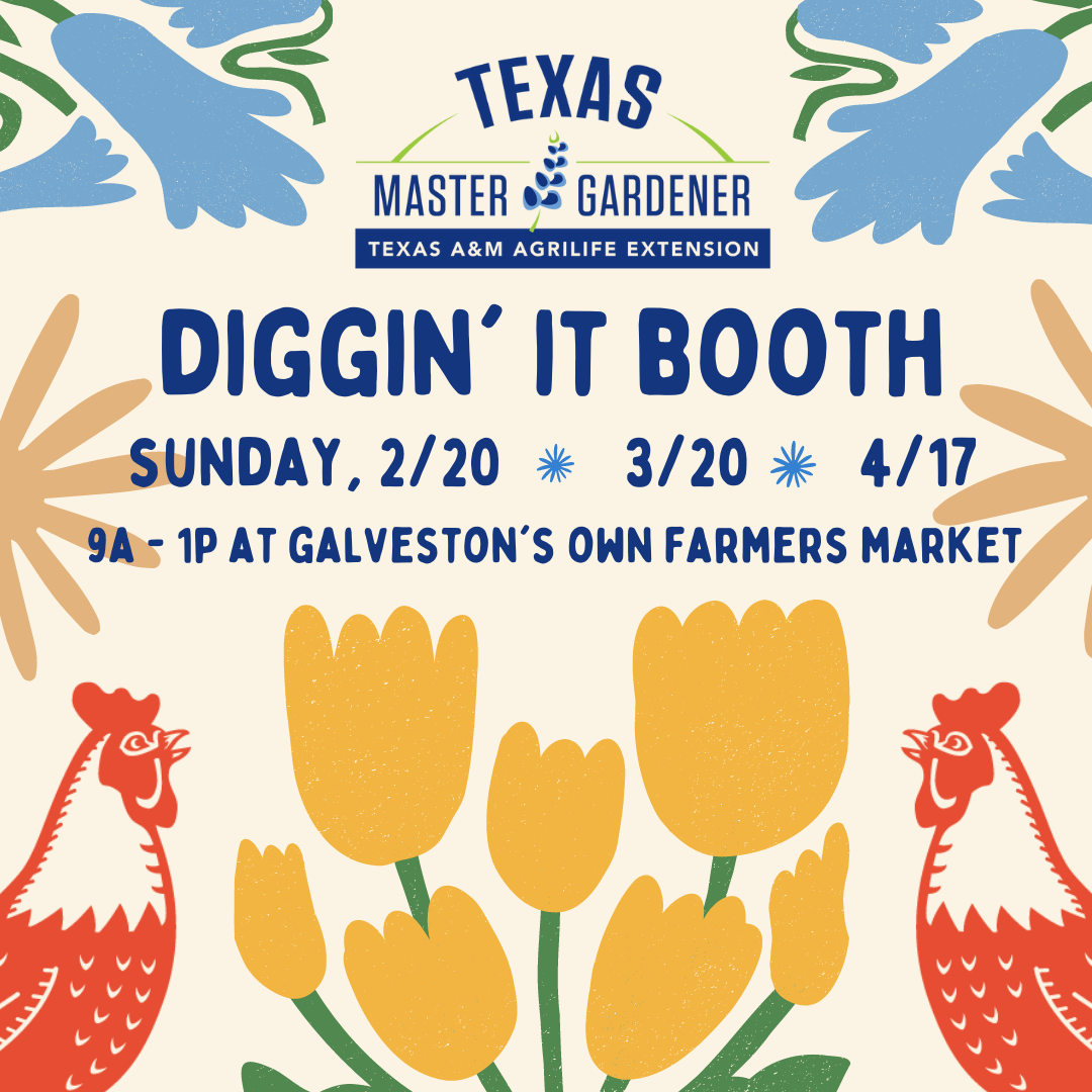 Galveston County Master Gardeners Diggin’ It Booth