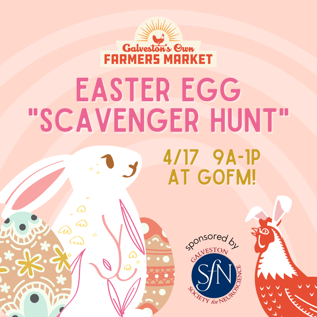 Easter Scavenger Hunt with Society of Neuroscience Galveston Chapter!