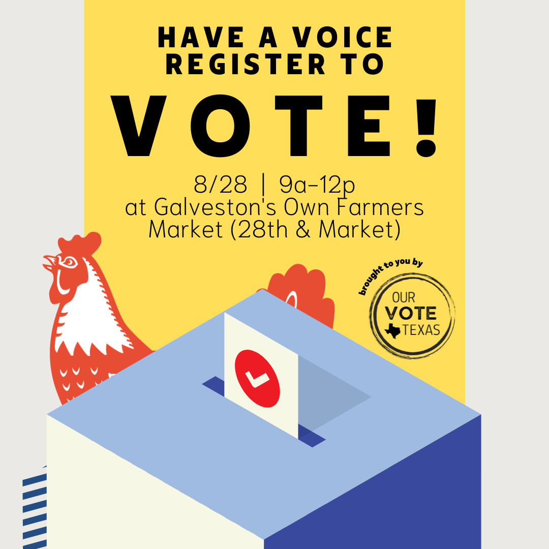8/28 – Register to Vote with Our Vote Texas!