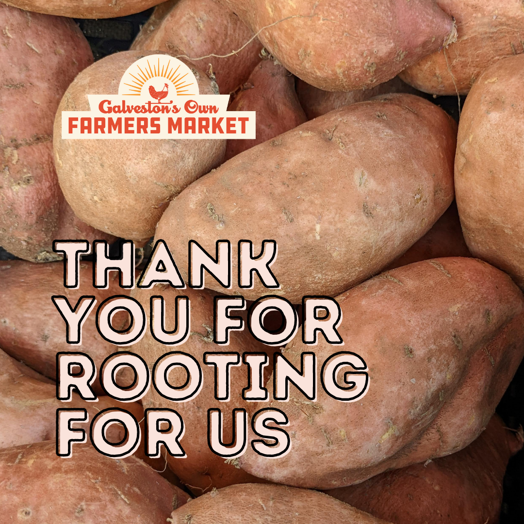 What’s at Market: 11/27/22