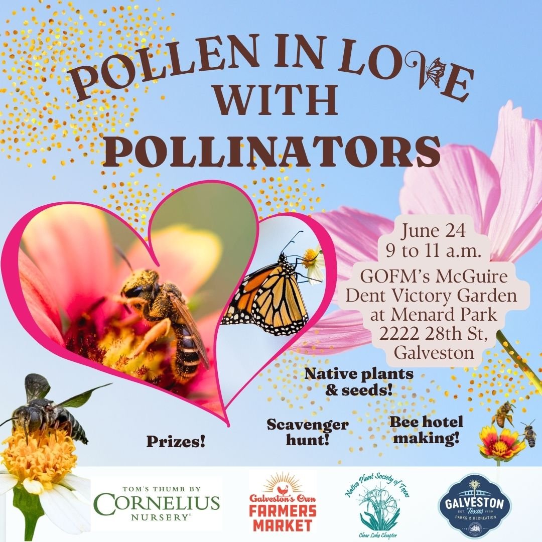 Pollen in Love with Pollinators
