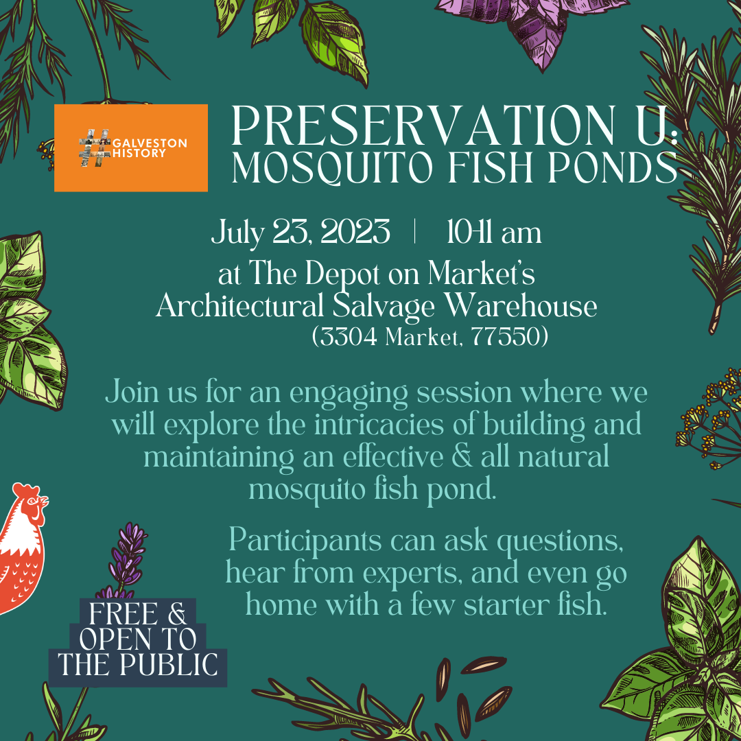 7/23 – Preservation U: Mosquito Fish Ponds