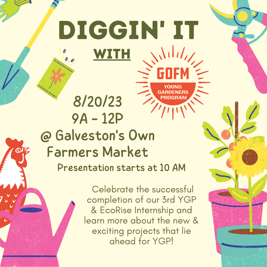 8/20 – Diggin’ it with YGP!