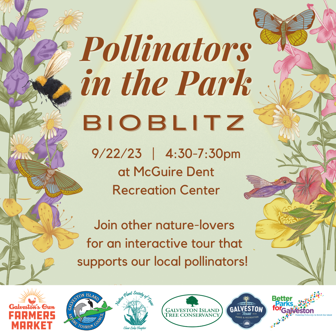 9/22 – Pollinator in the Parks – BioBlitz!