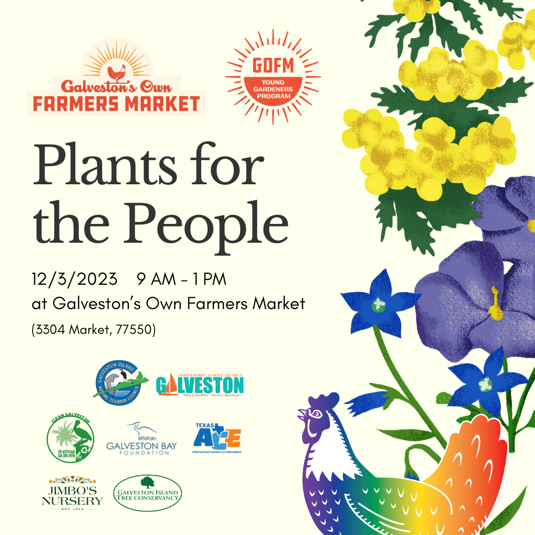 12/3 – Plants for the People