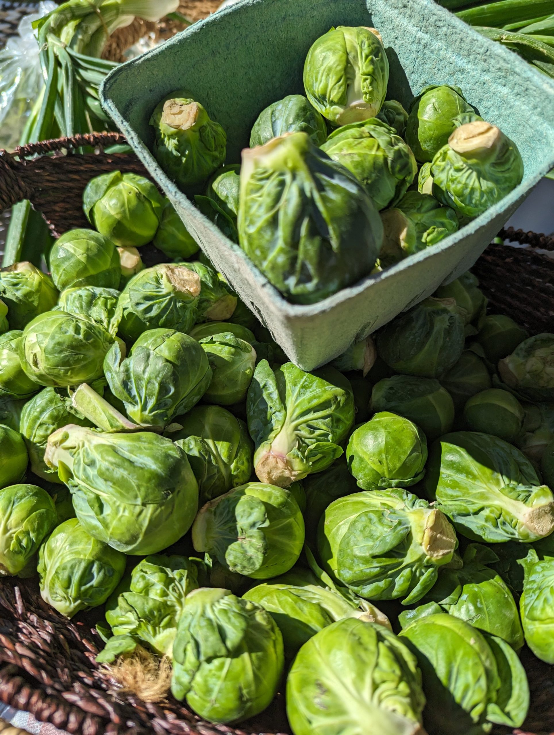 What’s at Market: 2/4/24