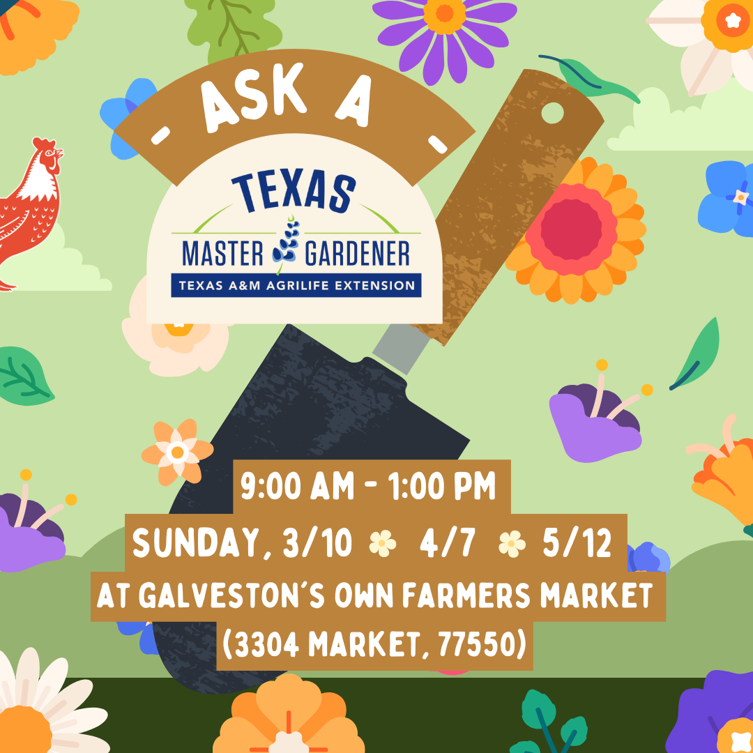 Ask a Galveston County Master Gardener!