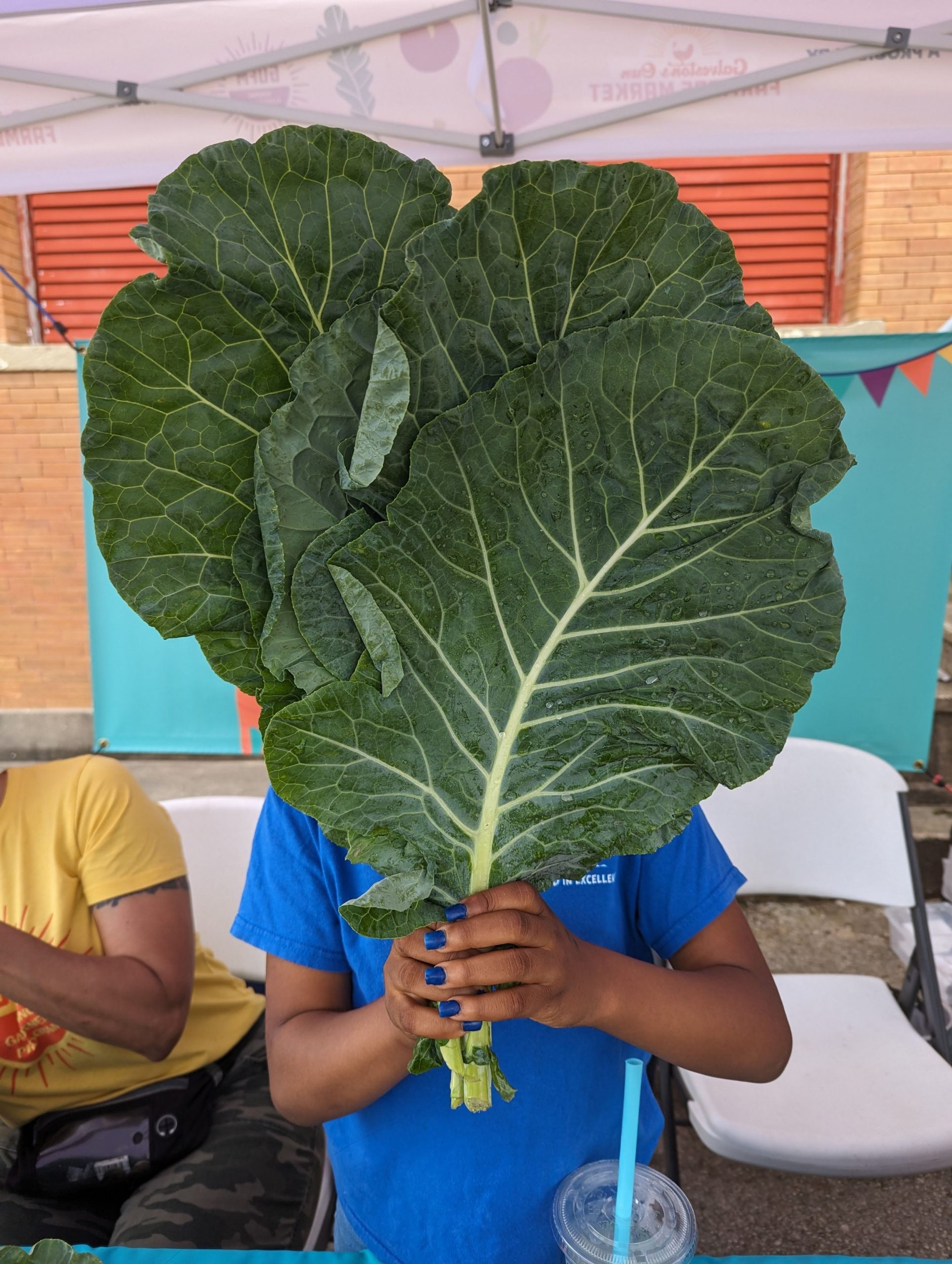 What’s at Market: 4/28/24