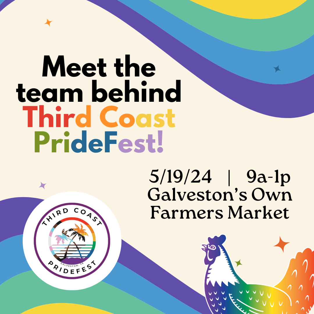 5/19 – Meet the Team behind Third Coast Pride Fest!
