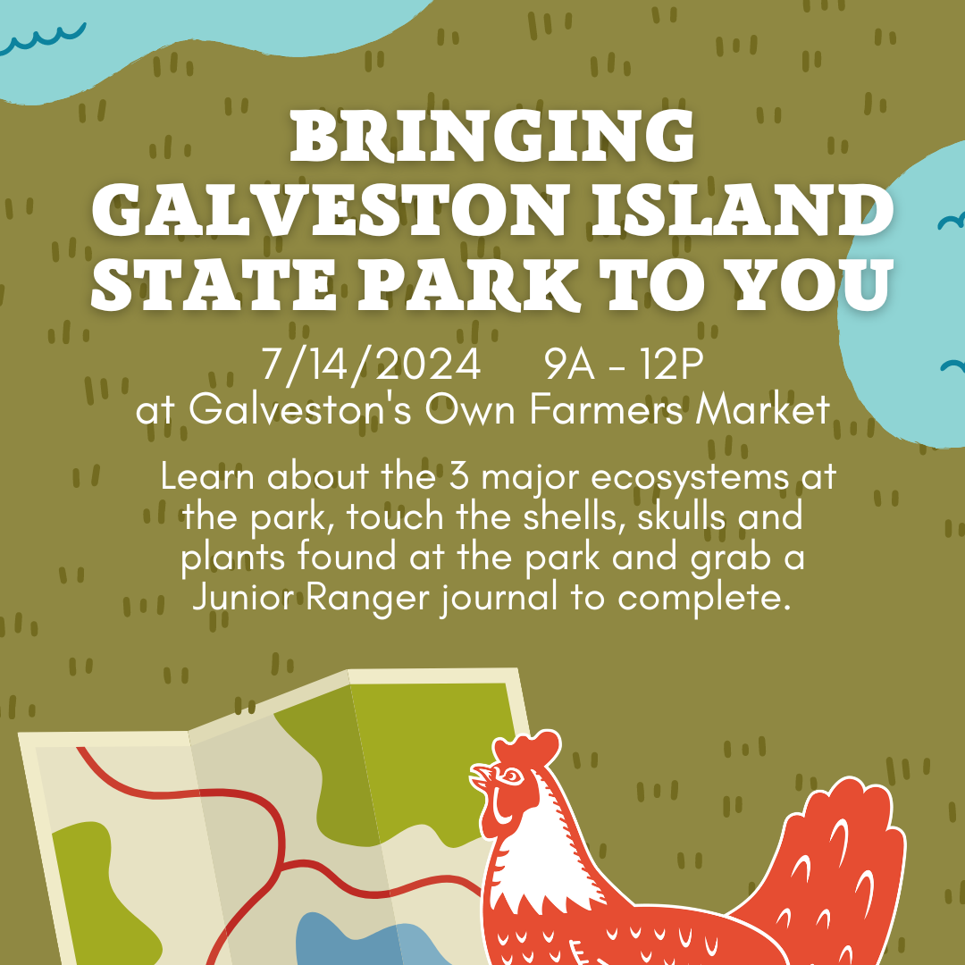7/14 – Bringing Galveston Island State Park to You!