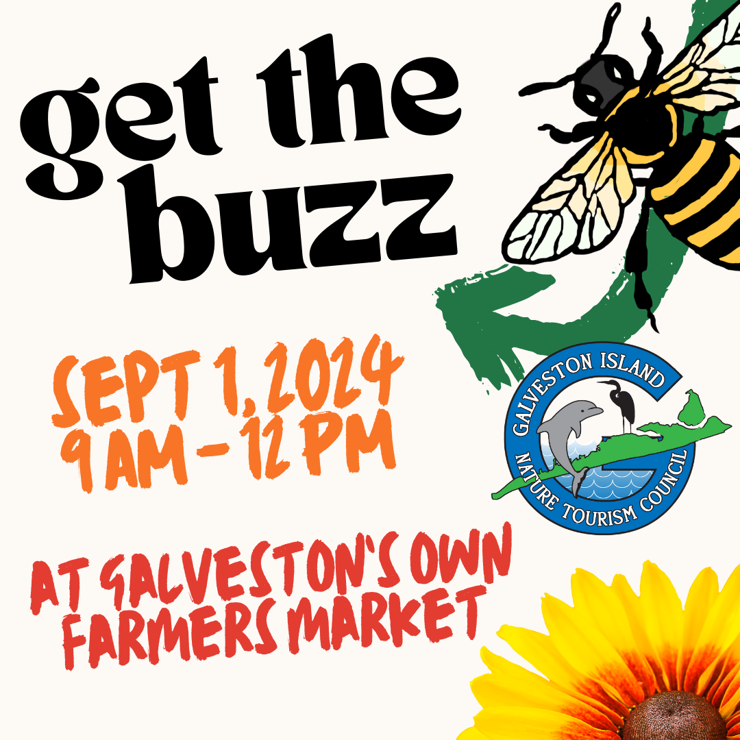 9/1 – Pollinator in the Parks – Native Plant & Seed Giveaway!