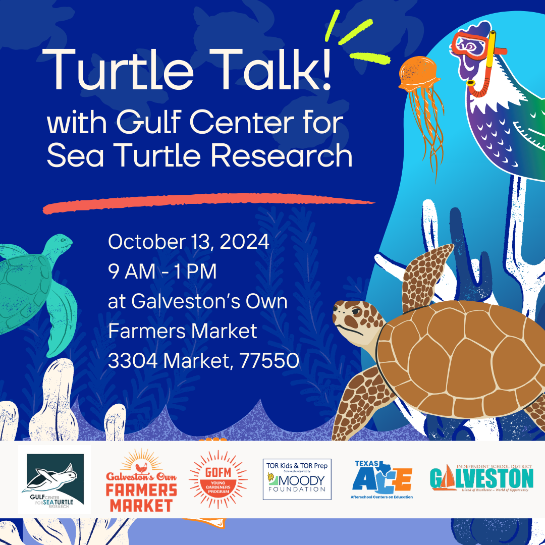 10/13 – Turtle Talk! with Gulf Center for Sea Turtle Research