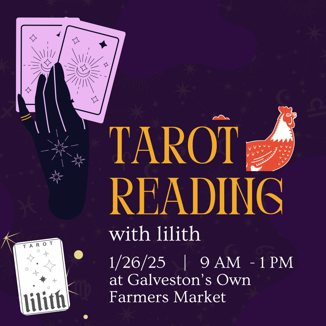 1/26 – Tarot Reading with Lilith