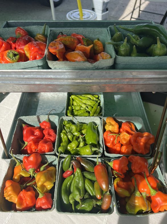 What’s at Market: 12/8/24