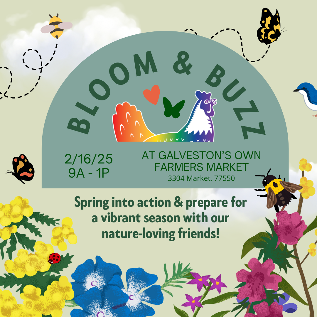 2/16 – Bloom & Buzz